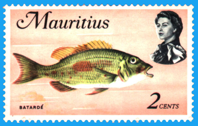 Lethrinus harak