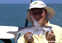 Image of Bagre marinus (Gafftopsail sea catfish)