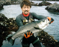 Image of Lateolabrax latus (Blackfin seabass)