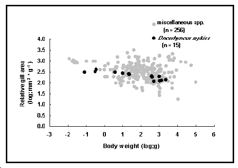 mor3.gif