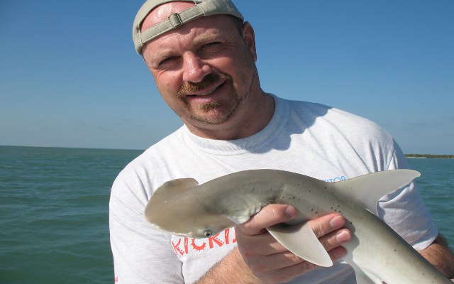 ../tools/UploadPhoto/uploads/Bonnethead-shark.jpg