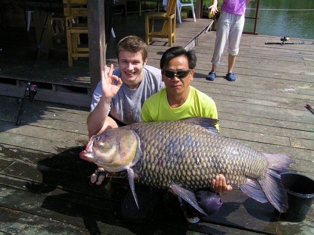 ../tools/UploadPhoto/uploads/Giant-Siamese-Carp1.JPG