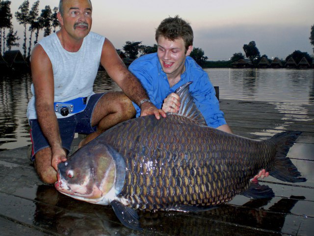 ../tools/UploadPhoto/uploads/Giant-Siamese-Carp2.jpg