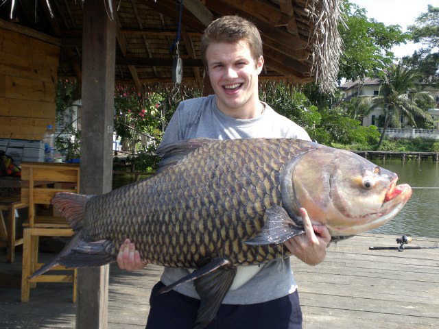 ../tools/UploadPhoto/uploads/Giant-Siamese-Carp3.JPG