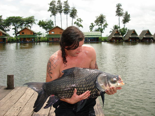 ../tools/UploadPhoto/uploads/Giant-Siamese-Carp4.JPG