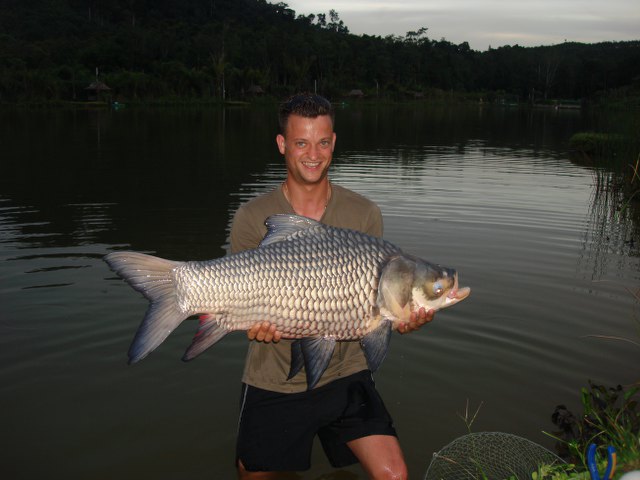 ../tools/UploadPhoto/uploads/Giant-Siamese-Carp5.JPG