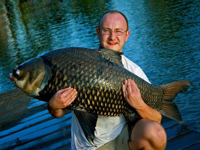 ../tools/UploadPhoto/uploads/Giant-Siamese-Carp6.jpg