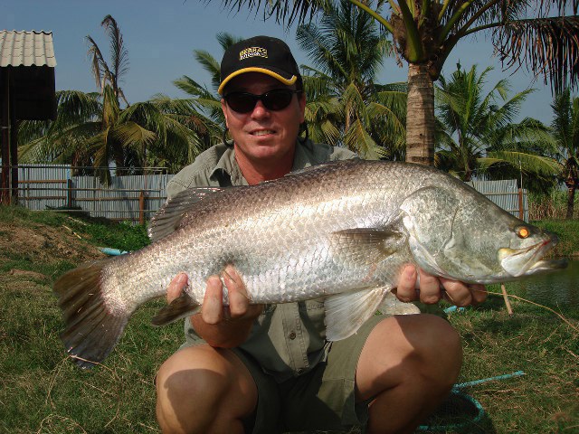 ../tools/UploadPhoto/uploads/Thai-Barramundi2.jpg