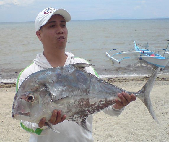 ../tools/UploadPhoto/uploads/african_pompano_fishbase.JPG